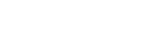 Parceiro 8
